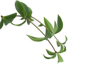 Similar image 623461