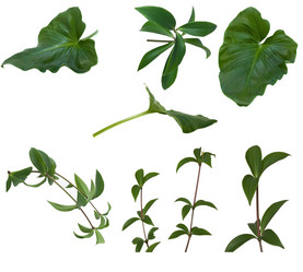 Similar image 623466