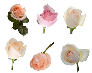 Similar image 623470