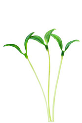 Similar image 623478