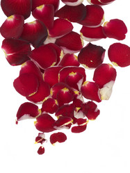 Similar image 623493