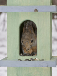 Similar image 623537