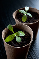 Similar image 623575