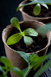 Similar image 623577