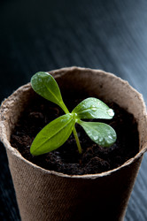 Similar image 623581