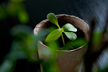 Similar image 623584