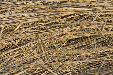 Similar image 623614