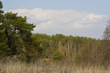 Similar image 623620