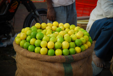 Similar image 623630