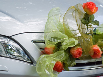 Similar image 623657