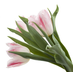 Similar image 623662