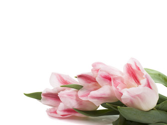 Similar image 623663