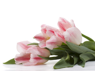 Similar image 623666