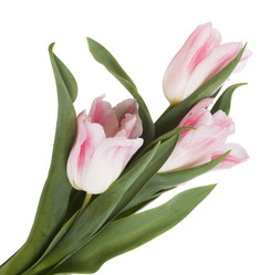 Similar image 623669