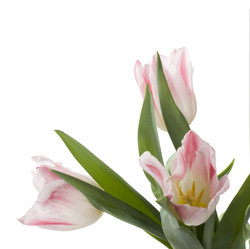 Similar image 623671