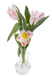 Similar image 623675