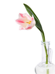 Similar image 623680