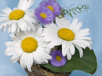 Similar image 623716