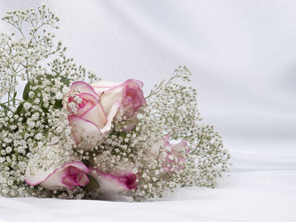 Similar image 623739