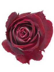 Similar image 623821