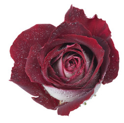 Similar image 623824