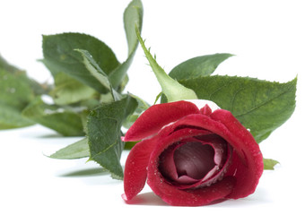 Similar image 623825