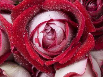 Similar image 623826