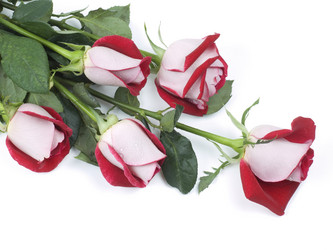 Similar image 623827