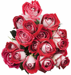 Similar image 623831