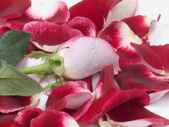 Similar image 623836