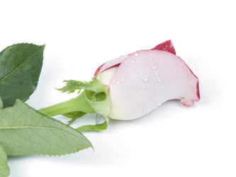 Similar image 623838