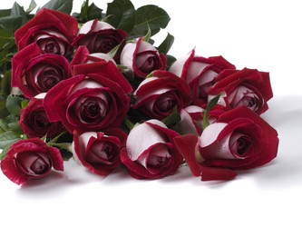 Similar image 623847