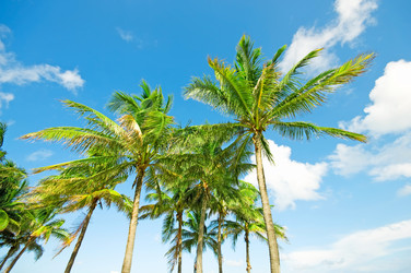 Similar image 623929