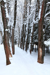 Similar image 623962