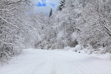 Similar image 623972