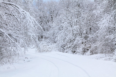 Similar image 623973