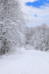 Similar image 623974