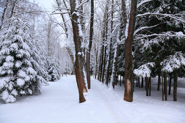 Similar image 623975