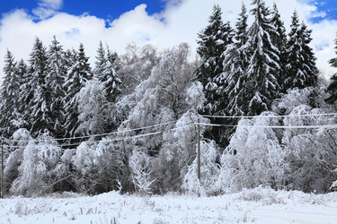 Similar image 623979