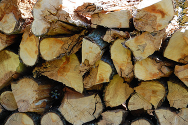 Similar image 623981