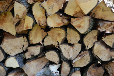 Similar image 623982