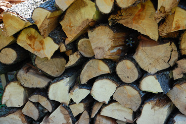 Similar image 623983