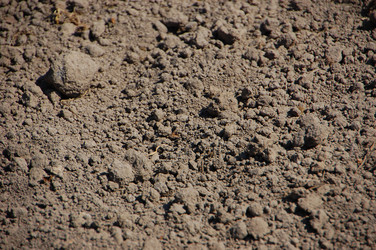 Similar image 624005