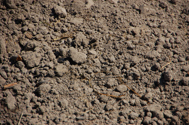 Similar image 624006