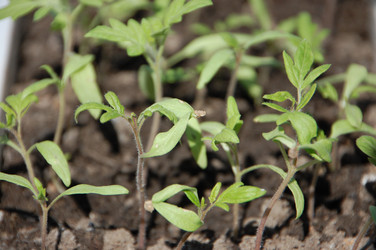 Similar image 624008