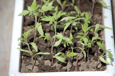 Similar image 624010