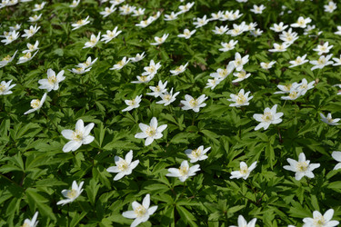 Similar image 624012