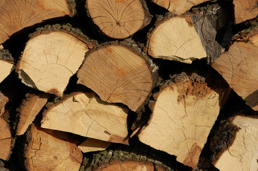 Similar image 624013