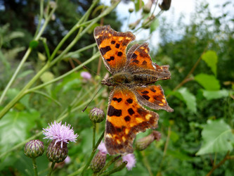 Similar image 624014