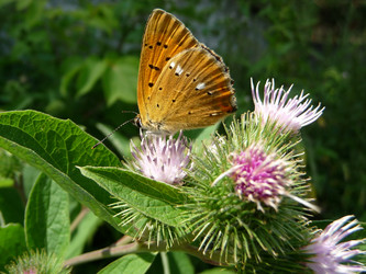 Similar image 624015